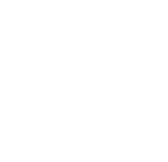 Bannerman Brewing Co.